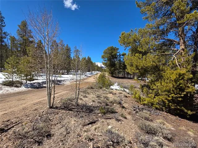 379 Lodgepole Drive Twin Lakes, CO 81251