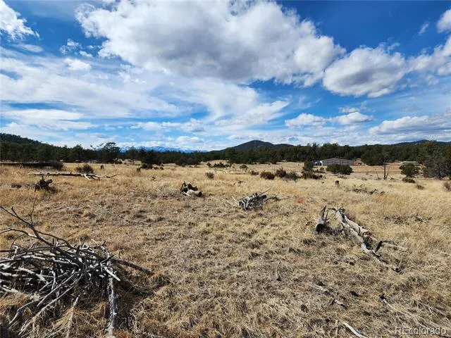 Pinon Cotopaxi, CO 81223