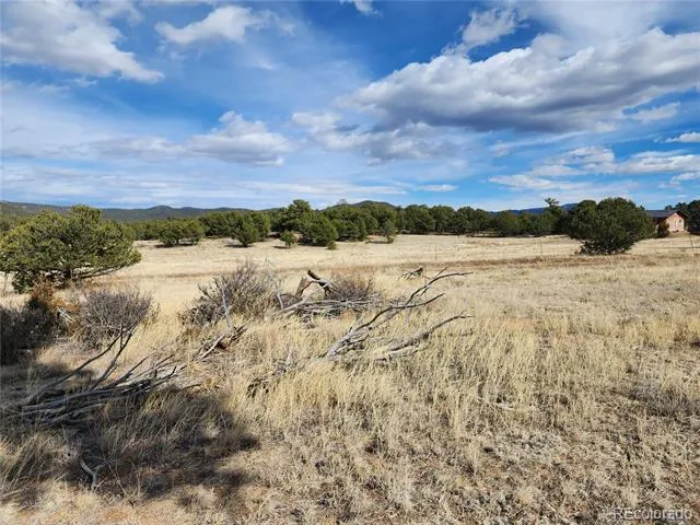 Pinon Cotopaxi, CO 81223