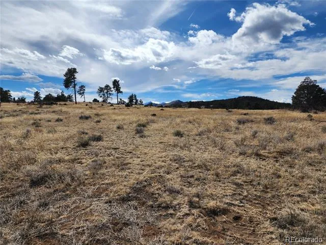 Pinon Cotopaxi, CO 81223