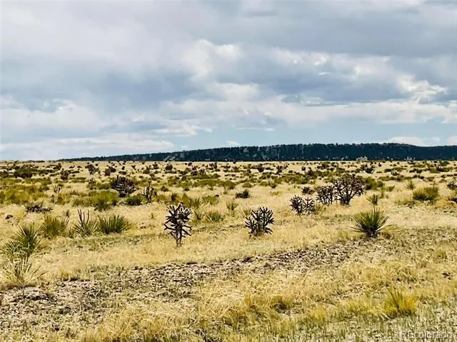 Lot 239 Turkey Ridge Ranch Walsenburg, CO 81089