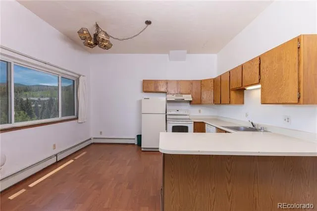 9800 Ryan Gulch Road #105 Silverthorne, CO 80498