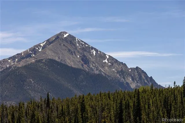 9800 Ryan Gulch Road #105 Silverthorne, CO 80498