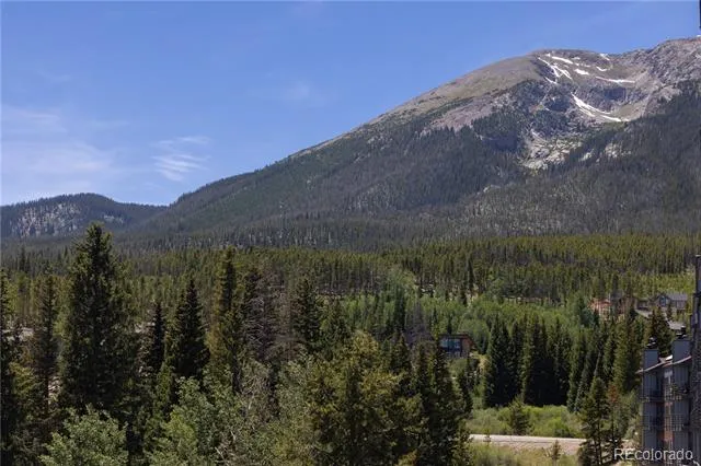 9800 Ryan Gulch Road #105 Silverthorne, CO 80498