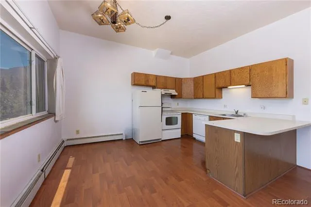 9800 Ryan Gulch Road #105 Silverthorne, CO 80498