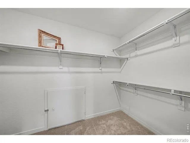 5548 Runge Court Timnath, CO 80547