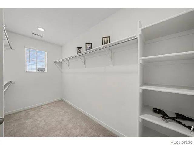 5548 Runge Court Timnath, CO 80547