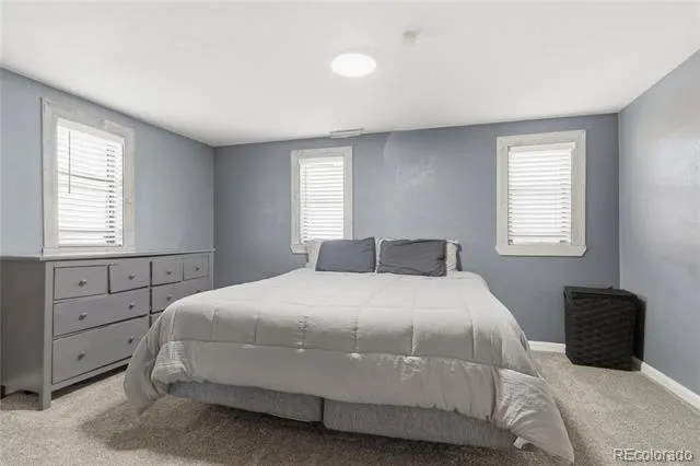 1141 S Raleigh Street Denver, CO 80219