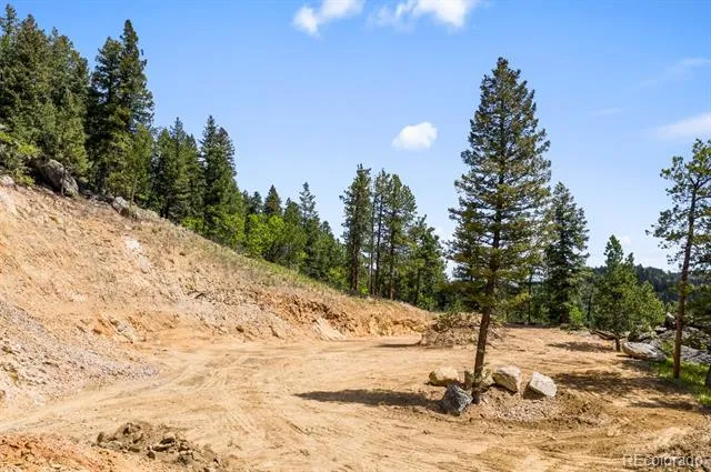 9439 S Turkey Creek Road Morrison, CO 80465