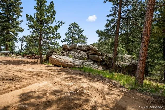 9439 S Turkey Creek Road Morrison, CO 80465