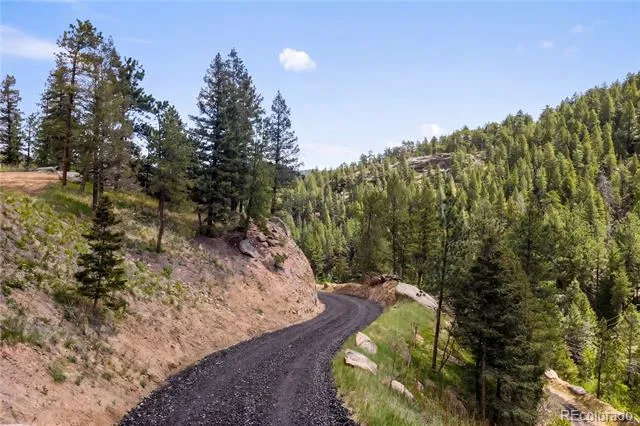 9439 S Turkey Creek Road Morrison, CO 80465