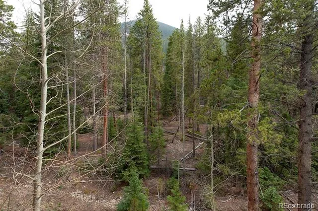 28 Trappers Crossing Trail #8760 Dillon, CO 80435