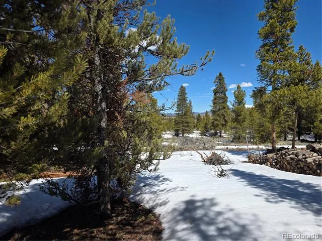 378 Ponderosa Drive Twin Lakes, CO 81251