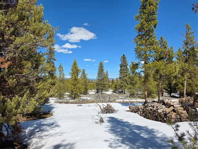 378 Ponderosa Drive Twin Lakes, CO 81251