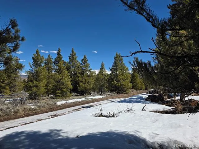 378 Ponderosa Drive Twin Lakes, CO 81251