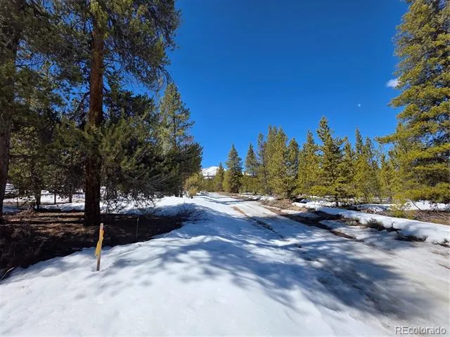 378 Ponderosa Drive Twin Lakes, CO 81251