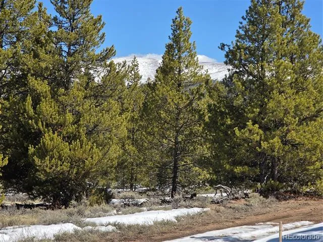 378 Ponderosa Drive Twin Lakes, CO 81251
