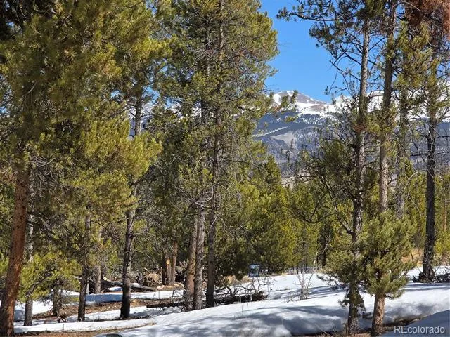378 Ponderosa Drive Twin Lakes, CO 81251