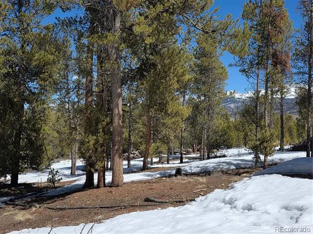 378 Ponderosa Drive Twin Lakes, CO 81251
