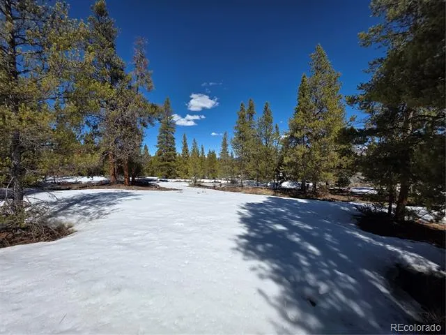 378 Ponderosa Drive Twin Lakes, CO 81251