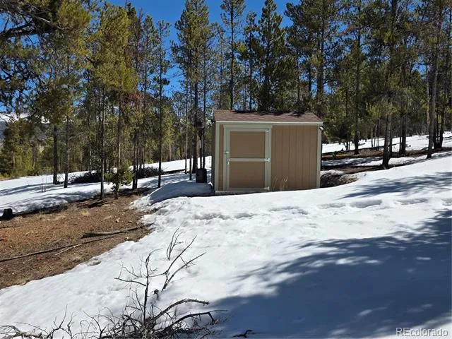 378 Ponderosa Drive Twin Lakes, CO 81251