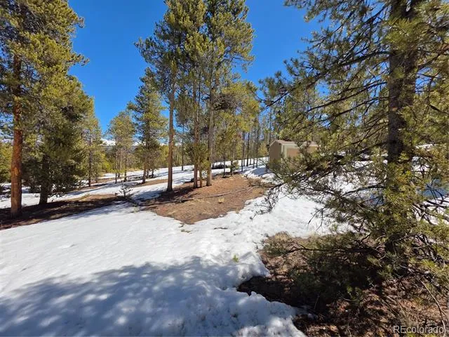 378 Ponderosa Drive Twin Lakes, CO 81251