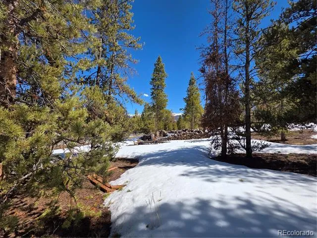 378 Ponderosa Drive Twin Lakes, CO 81251