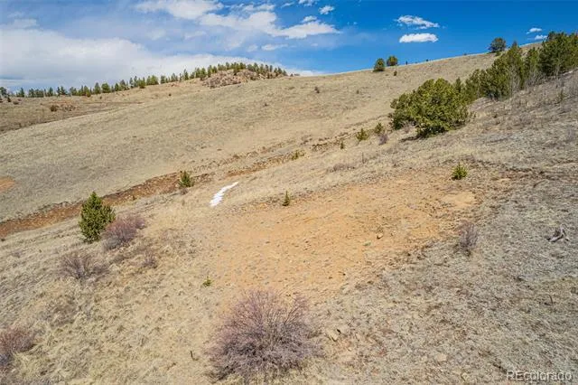 1538 County Road 1 Cripple Creek, CO 80813