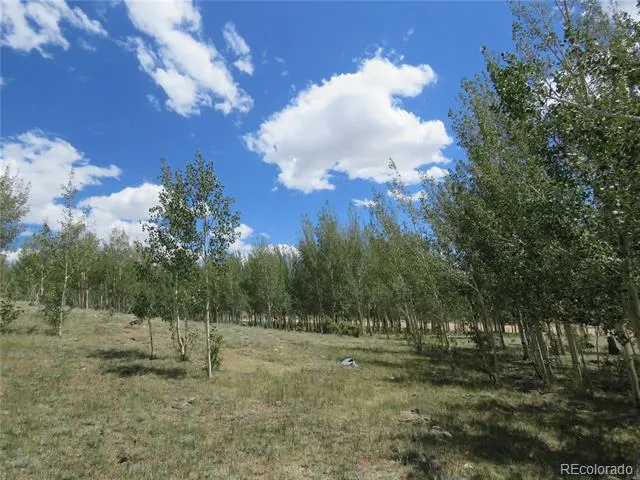 104 Hawk Way Jefferson, CO 80456