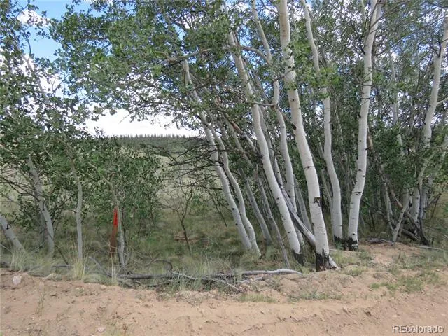104 Hawk Way Jefferson, CO 80456