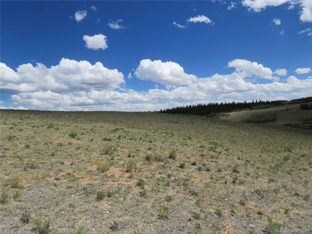 104 Hawk Way Jefferson, CO 80456