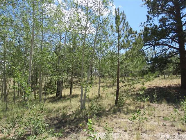 104 Hawk Way Jefferson, CO 80456