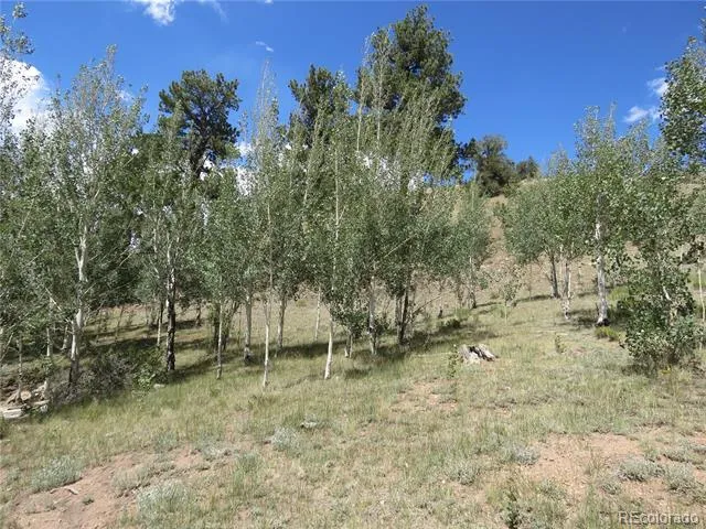 104 Hawk Way Jefferson, CO 80456