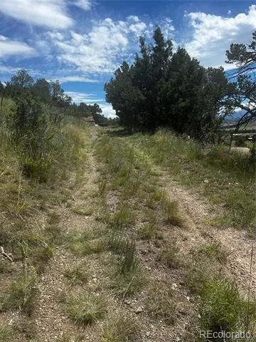 1880 Copper Gulch Road Cotopaxi, CO 81223