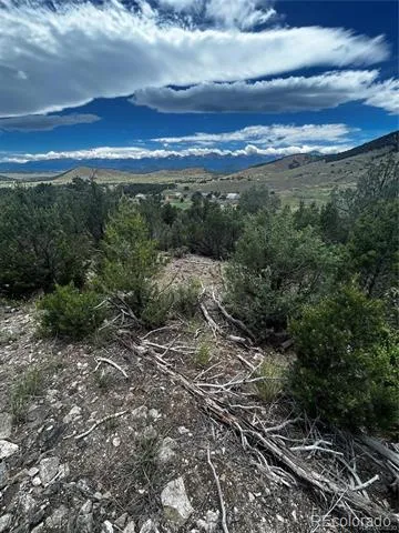 1880 Copper Gulch Road Cotopaxi, CO 81223