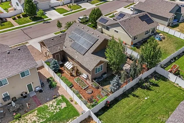 438 Ptarmigan Street Severance, CO 80550