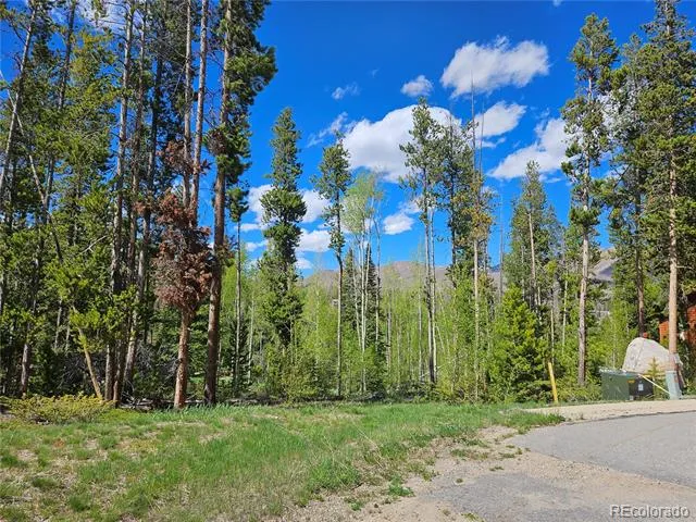 134 Mad Moose Lane Grand Lake, CO 80447