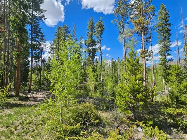 134 Mad Moose Lane Grand Lake, CO 80447