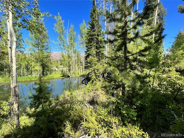 134 Mad Moose Lane Grand Lake, CO 80447