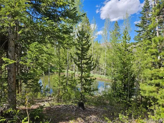 134 Mad Moose Lane Grand Lake, CO 80447