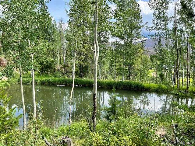 134 Mad Moose Lane Grand Lake, CO 80447