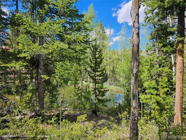 134 Mad Moose Lane Grand Lake, CO 80447