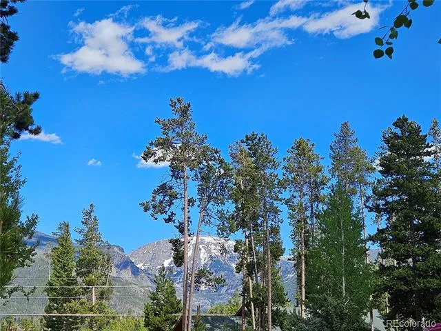 134 Mad Moose Lane Grand Lake, CO 80447