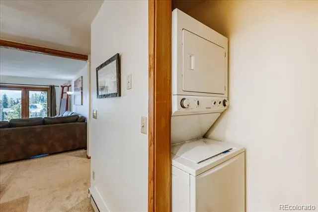 875 Four Oclock Road #D1 Breckenridge, CO 80424