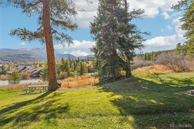 875 Four Oclock Road #D1 Breckenridge, CO 80424