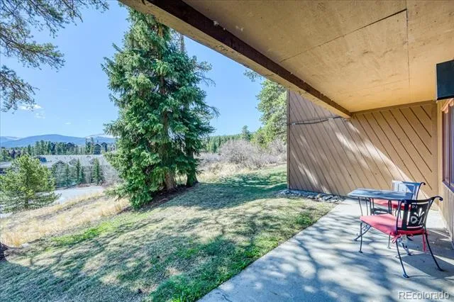 875 Four Oclock Road #D1 Breckenridge, CO 80424