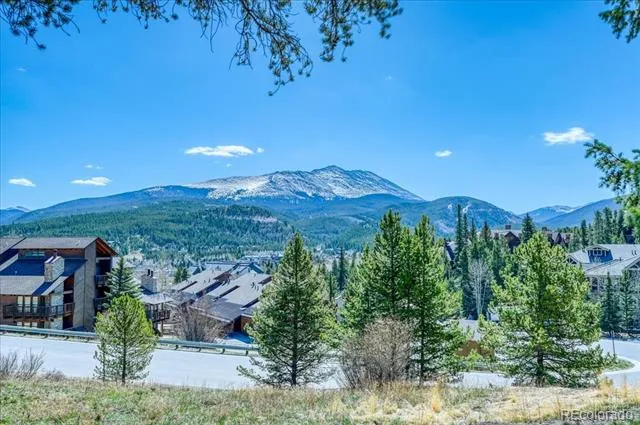 875 Four Oclock Road #D1 Breckenridge, CO 80424