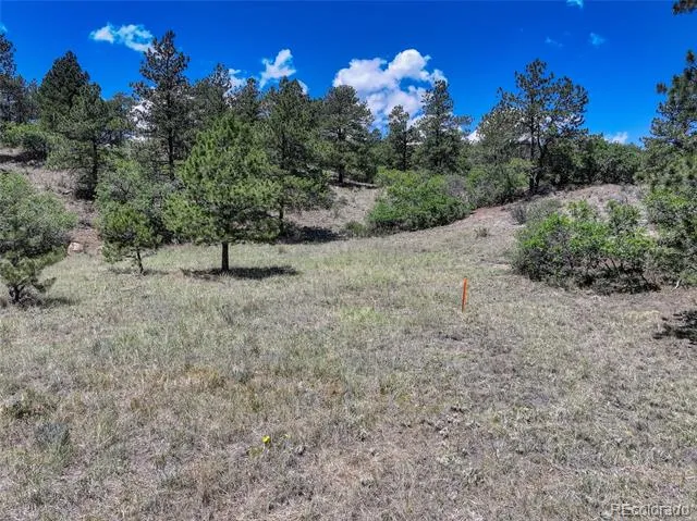 235 Dusty Hills Court Colorado Springs, CO 80919