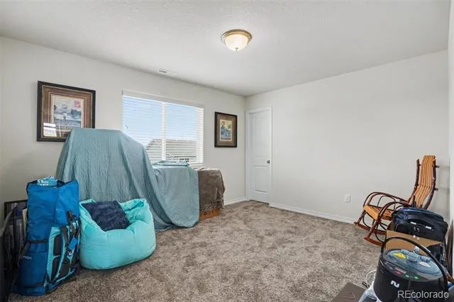 11069 Silky Thread Road Peyton, CO 80831