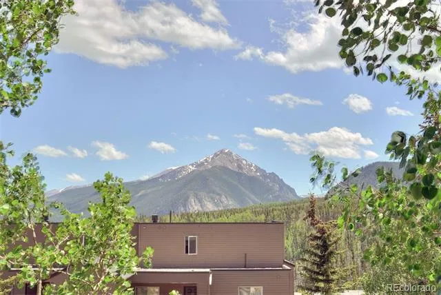 95600 Ryan Gulch Road #95613 Silverthorne, CO 80498